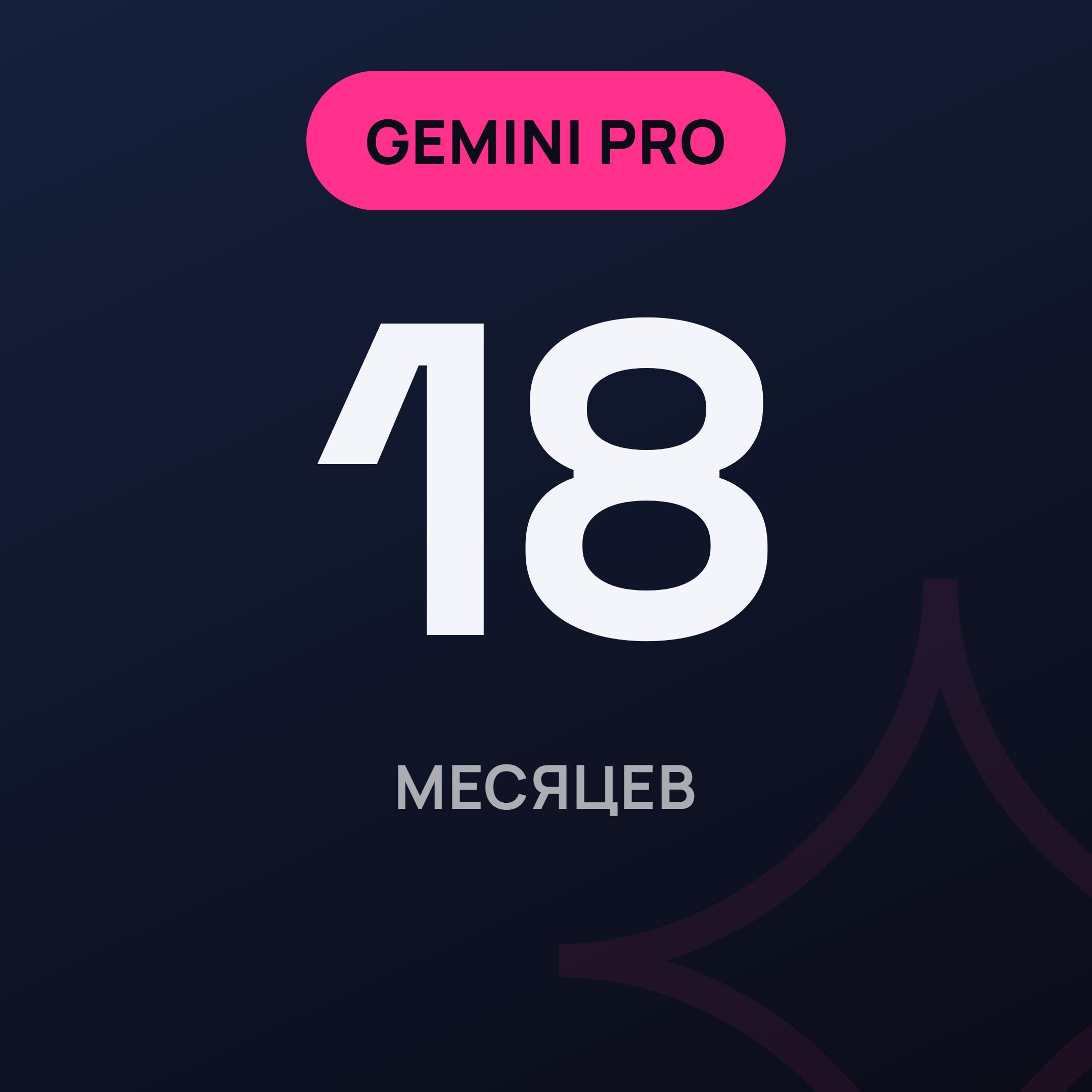 Gemini Pro: 18 мес.